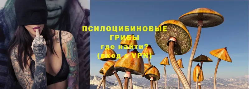 что такое   Горбатов  кракен сайт  Галлюциногенные грибы MAGIC MUSHROOMS 